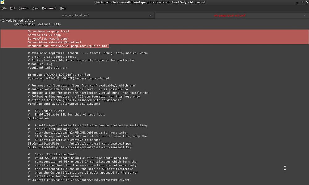 Apache on Peppermint OS: Modified SSL configuration file
