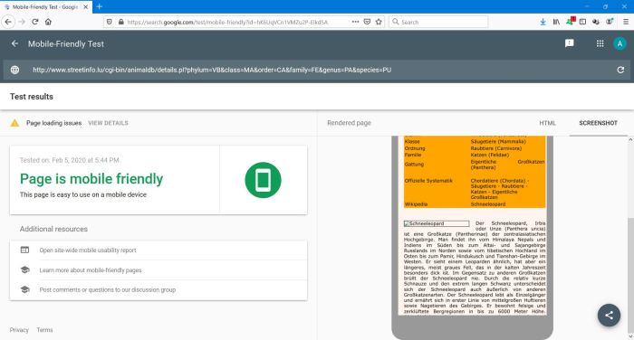 Webpage analysed with Google Mobile-friendly Test Tool