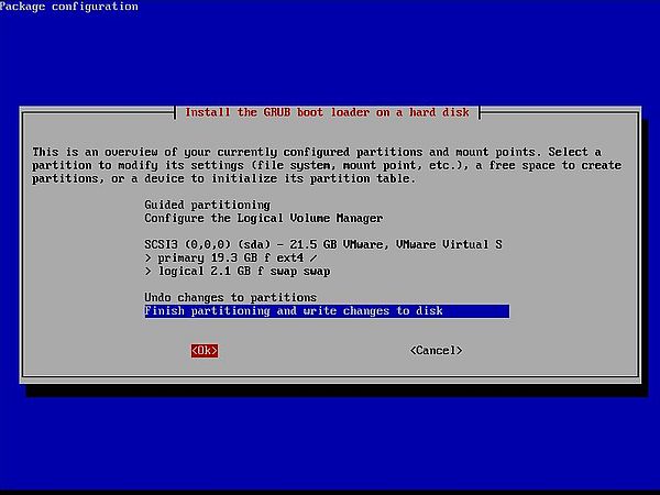 Installing Turnkey Linux LAMP Stack: Hard disk partitioning - Accepting the default partition layout