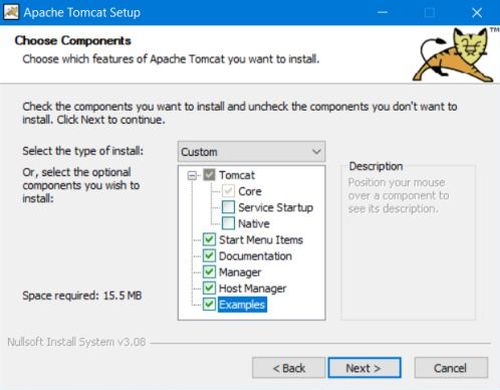 Tomcat installation: Selecting the components