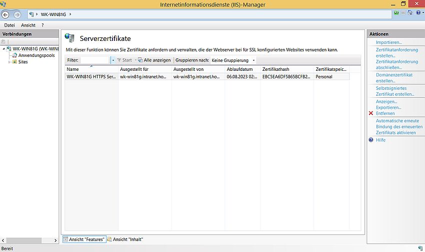 IIS on Windows 8.1: Self-signed server certificate added to certificates list