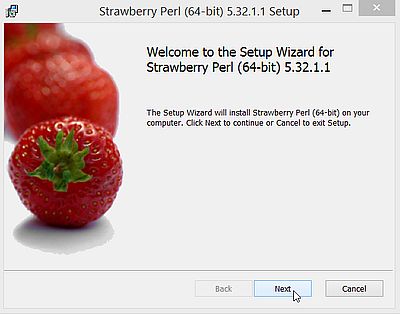 IIS on Windows 8.1: Installing Strawberry Perl
