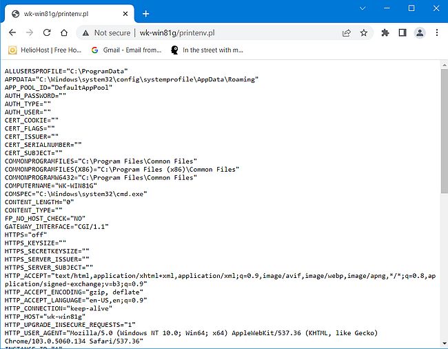IIS on Windows 8.1: Running a Perl script