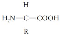 Amino acids general formula