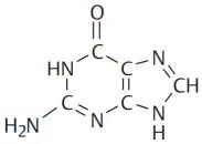 Nucleobases: Guanine