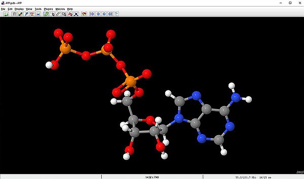 Jmol: ATP molecule (style scheme = Ball and Stick, with hydrogens)