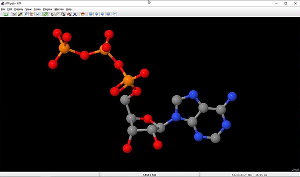 Jmol: ATP molecule (style scheme = Ball and Stick, without hydrogens)