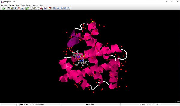 Jmol: Human myoglobin (3rgk) (style scheme = Ribbon)