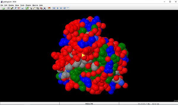 Jmol: Human myoglobin (3rgk) - Selective coloring by amino acid type (spacefill)