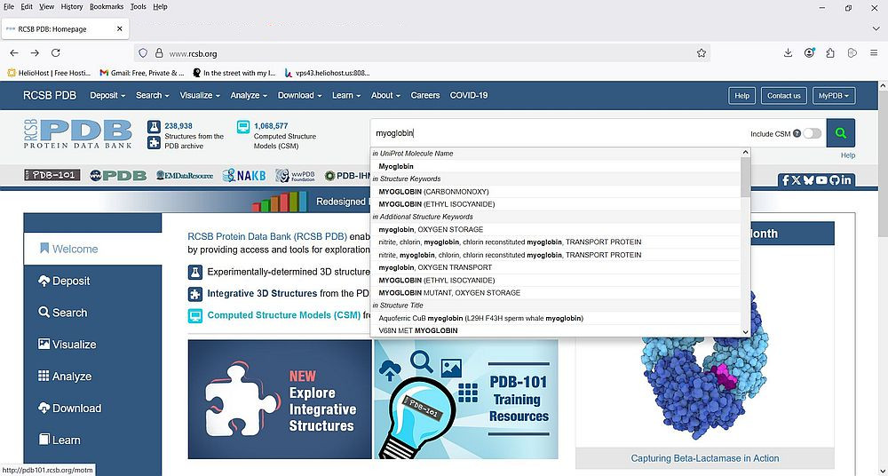 Protein Data Bank: Searching the PDB for 'myoglobin' (search query)