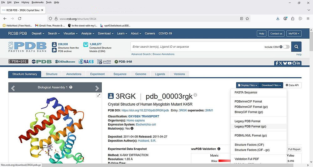 Protein Data Bank: Downloading the 'human myoglobin' PDB file
